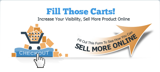 Fill out the form on the right to find out how you can sell more online